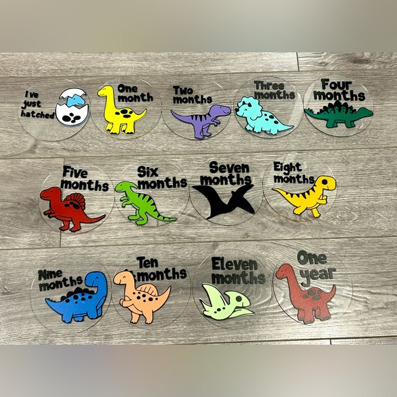 Dinosaur Baby Milestone Discs - Picture 1 of 6